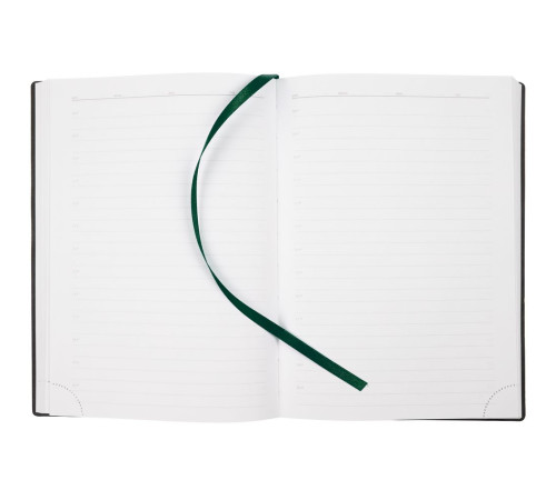 Ежедневник Vivian Metal, недатированный, зеленый