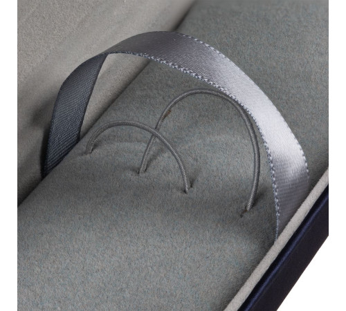 Футляр для ручек Coverty Plus, ver.2, синий