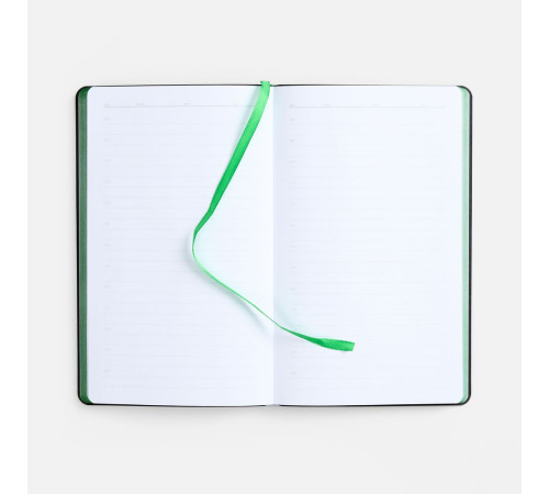 Ежедневник Nice Twice, недатированный, черный с ярко-зеленым