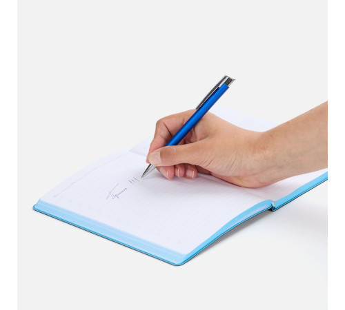 Ручка шариковая Stork, синяя