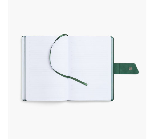 Ежедневник Boom, недатированный, черный с зеленым