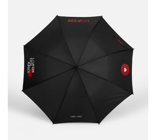 Зонт-трость Hidecolor с цветными спицами, черный с красным