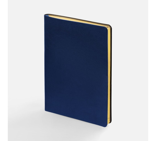 Ежедневник Nebraska Flex, недатированный, синий с золотистым
