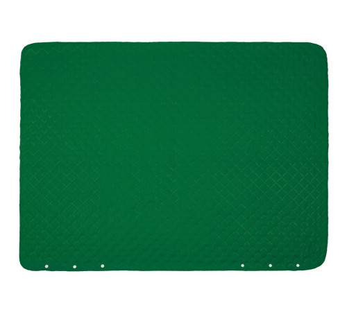 Плед-пончо для пикника SnapCoat, зеленый