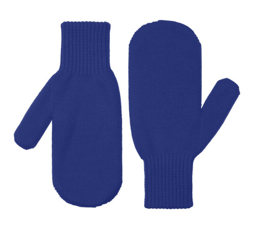 Варежки Life Explorer, ярко-синие (василек)