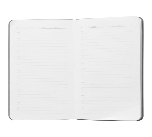 Ежедневник Flexpen Mini, недатированный, светло-зеленый