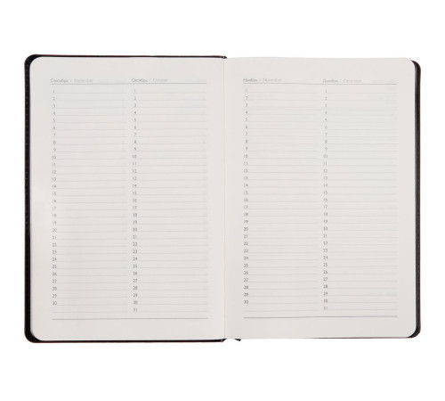 Ежедневник Alanis, недатированный, черный с синим