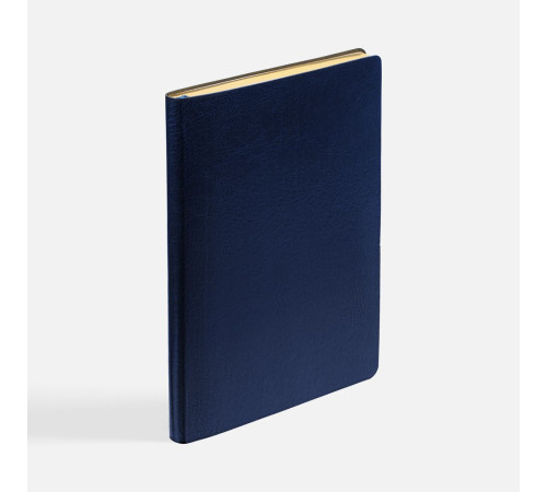 Ежедневник Nebraska Flex, недатированный, синий с золотистым