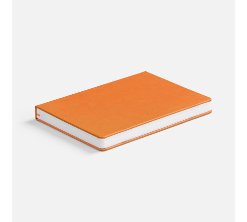 Ежедневник Basis, датированный, оранжевый