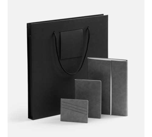 Набор Petrus Flap, серый