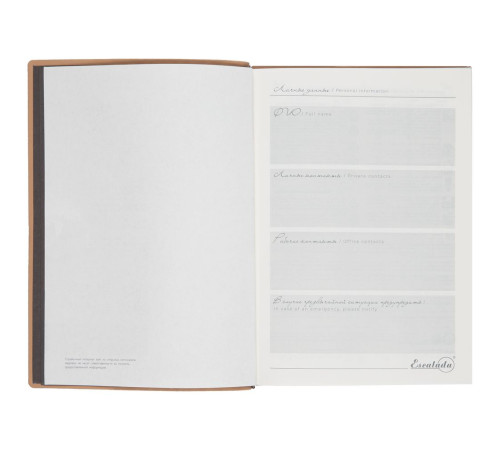 Ежедневник Anaconda, недатированный, серебристый