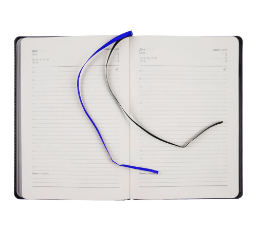 Ежедневник Alanis, недатированный, черный с синим