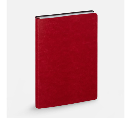 Ежедневник Nebraska Flex, недатированный, красный с серебристым