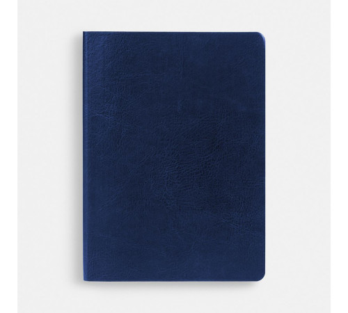 Ежедневник Nebraska Flex, недатированный, синий с золотистым