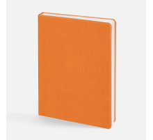 Ежедневник Basis, датированный, оранжевый