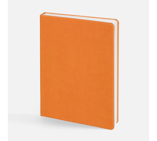 Ежедневник Basis, датированный, оранжевый