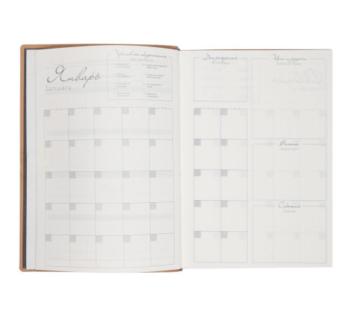 Ежедневник Anaconda, недатированный, серебристый