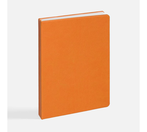 Ежедневник Basis, датированный, оранжевый