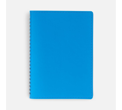 Ежедневник Spring Shall, недатированный, голубой