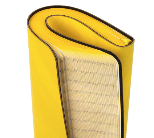 Ежедневник Neat Mini, недатированный, желтый