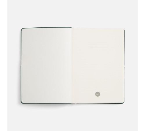 Ежедневник Kuka, недатированный, светло-зеленый