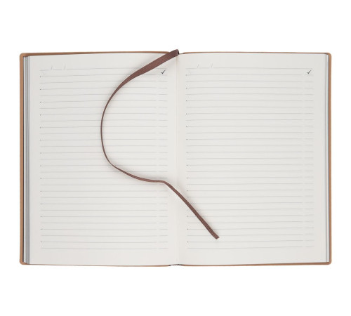 Ежедневник Anaconda, недатированный, серебристый