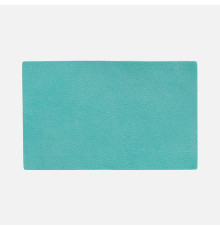 Лейбл Listra Latte, XL, бирюзовый