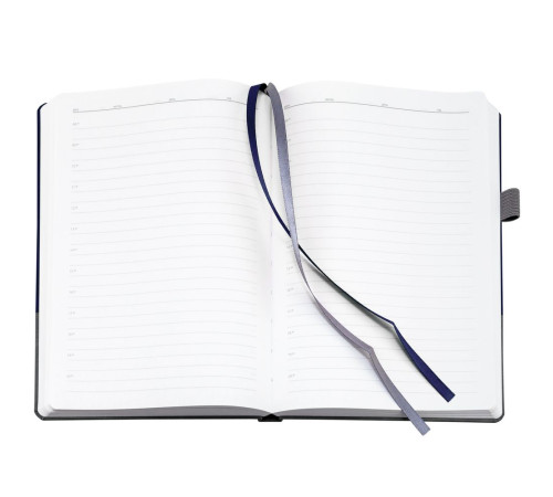 Ежедневник Horizon, недатированный, серый с синим