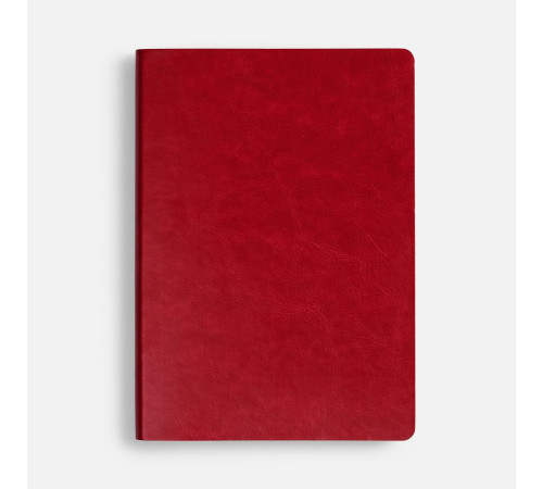 Ежедневник Nebraska Flex, недатированный, красный с серебристым