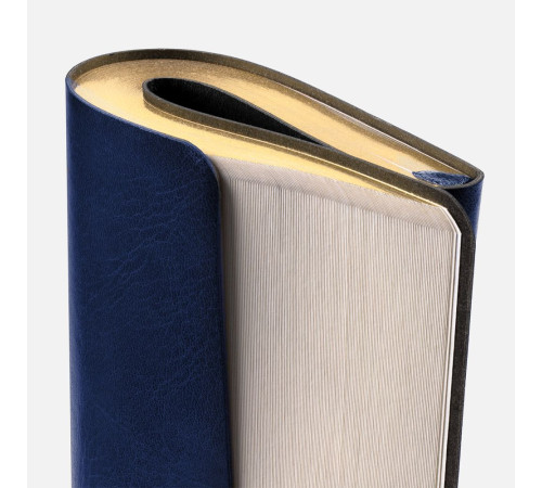 Ежедневник Nebraska Flex, недатированный, синий с золотистым