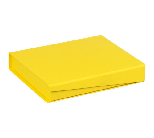 Коробка Duo под ежедневник и ручку, желтая
