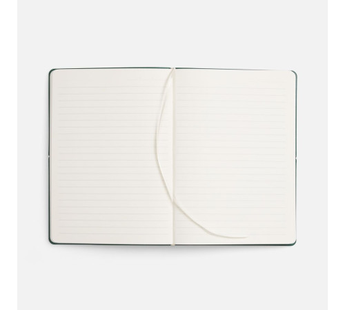 Ежедневник Kuka, недатированный, светло-зеленый