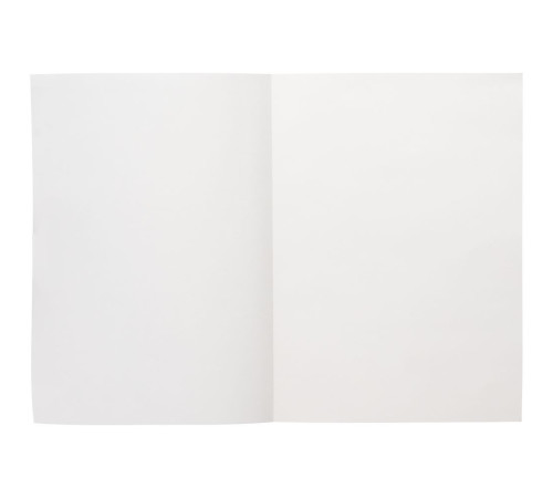 Ежедневник Flat Light, недатированный, иссиня-черный