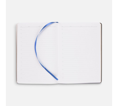 Ежедневник Nebraska Flex, недатированный, синий с золотистым