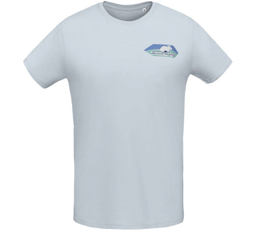 Футболка мужская «Мышка на севере», голубая