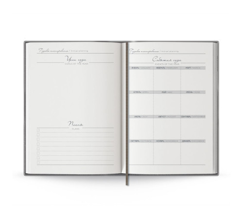 Ежедневник Anaconda, недатированный, серебристый