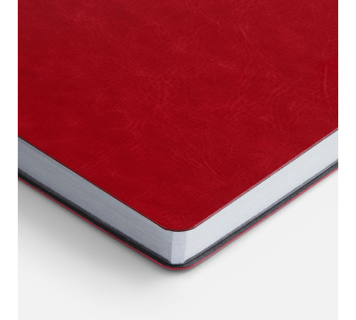 Ежедневник Nebraska Flex, недатированный, красный с серебристым