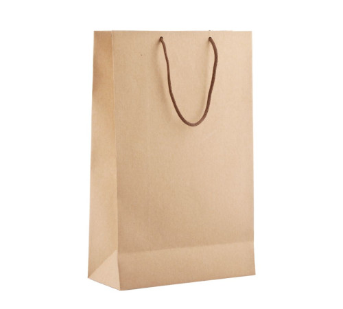 Пакет бумажный «Крафт», M, неокрашенный