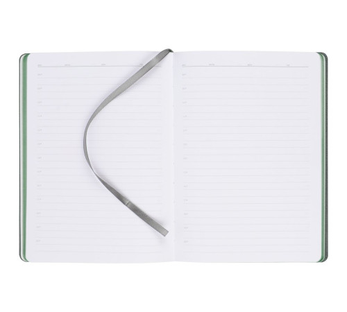 Ежедневник Frame, недатированный, зеленый с серым