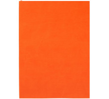 Ежедневник Flat Light, недатированный, оранжевый