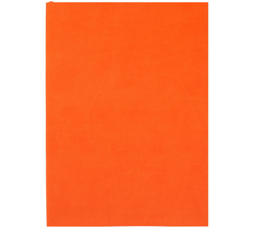 Ежедневник Flat Light, недатированный, оранжевый