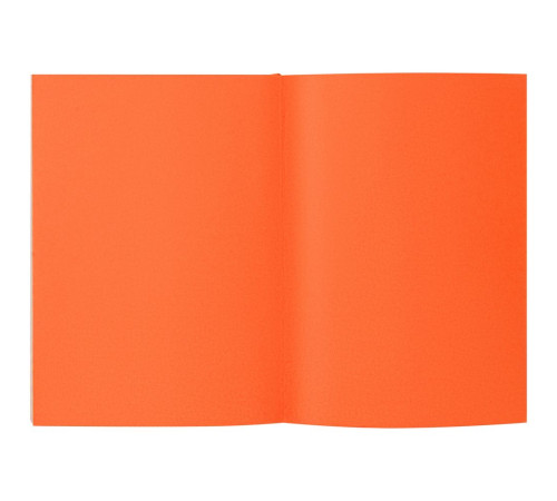 Ежедневник Flat, недатированный, оранжевый