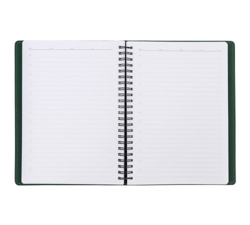 Ежедневник Spring Shall, недатированный, зеленый