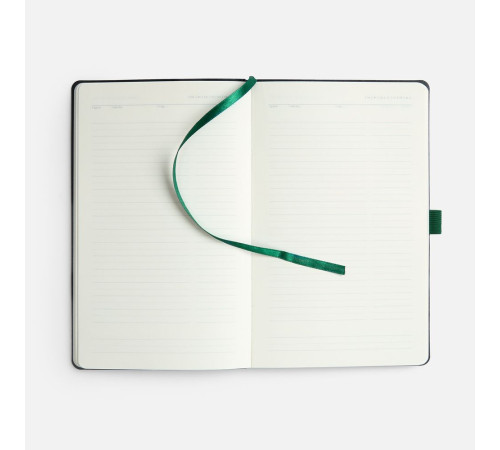 Ежедневник Lungo, недатированный, зеленый