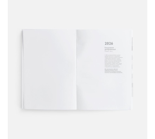 Ежедневник Baza, датированный, черный