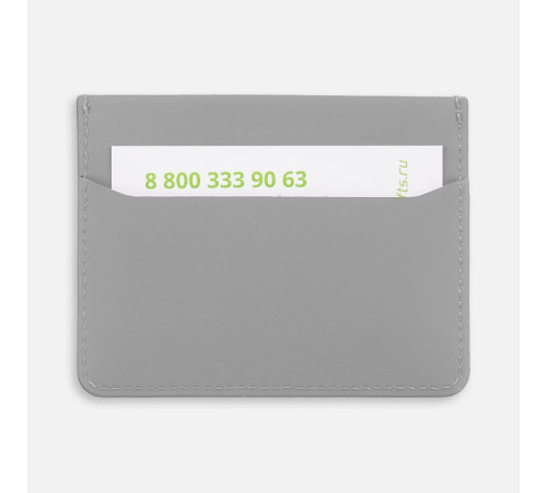 Чехол для карт Alaska, серый
