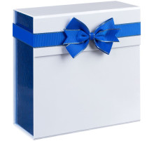 Коробка складная Gallant, M, белая с синим