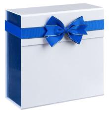 Коробка складная Gallant, M, белая с синим