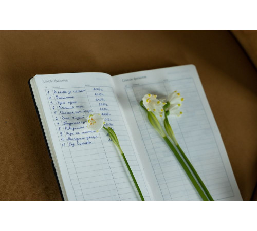 Ежедневник Nubuk, недатированный, синий