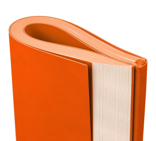 Ежедневник Flat, недатированный, оранжевый